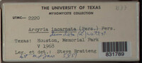 Image Associated With the Occurence